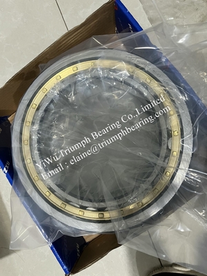 FAG Cylindrical Roller  Bearings  NU1038-XL-M1-C3