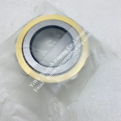 NSK Eccentric Bearing  RN309M
