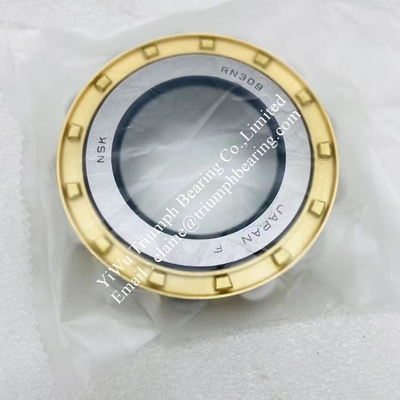 NSK Eccentric Bearing  RN309M