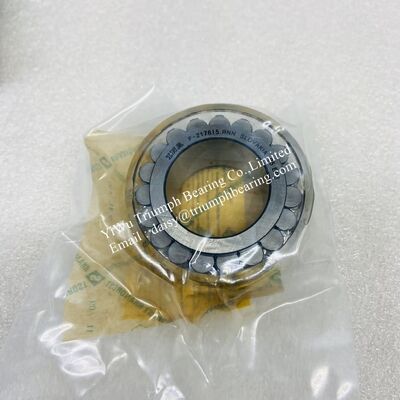 INA double -row full complement cylindrical roller bearing F-217615.RNN