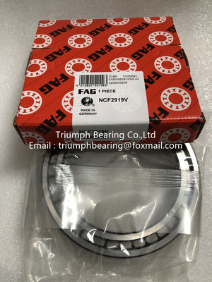 FAG Cylindrical  Roller  Bearings   NCF2919V