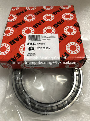 FAG Cylindrical  Roller  Bearings   NCF2919V