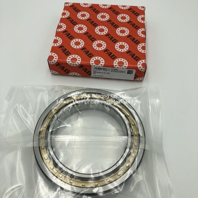 FAG Cylindrical Roller  Bearings  NU1020-E-XL-M1-C3