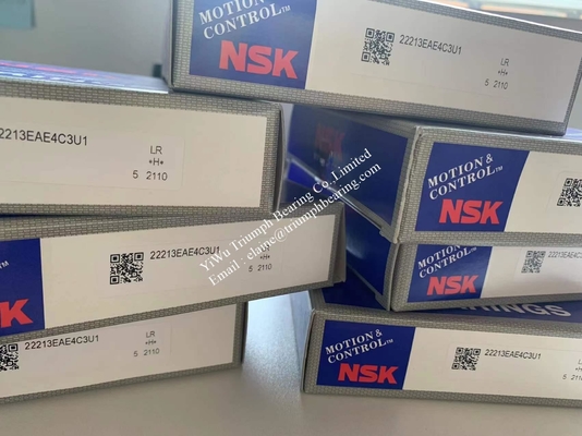 NSK Spherical Roller Bearing  22213EAE4C3U1 ,  22213E